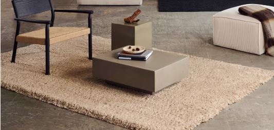 Alfombra beige de aspecto mullido bajo una mesa de centro, en un salón con sofá claro y suelo gris